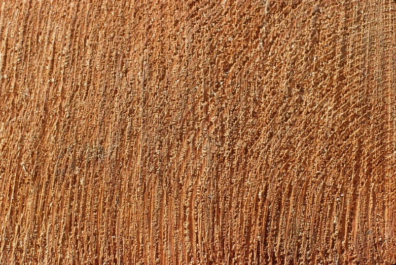 a blurry texture is visible on a wooden surface