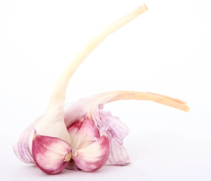 an onion clove is being sliced with a piece of garlic