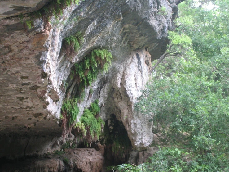 the rocks are covered with plant life on their sides