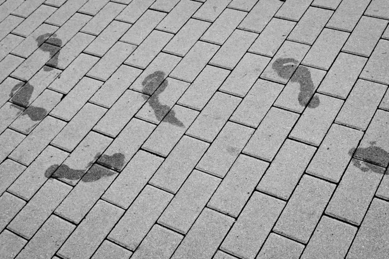 two shadows cast by the sidewalk and people walking