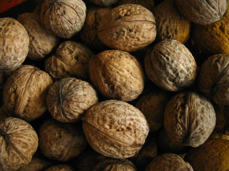 a close up of an arrangement of nuts