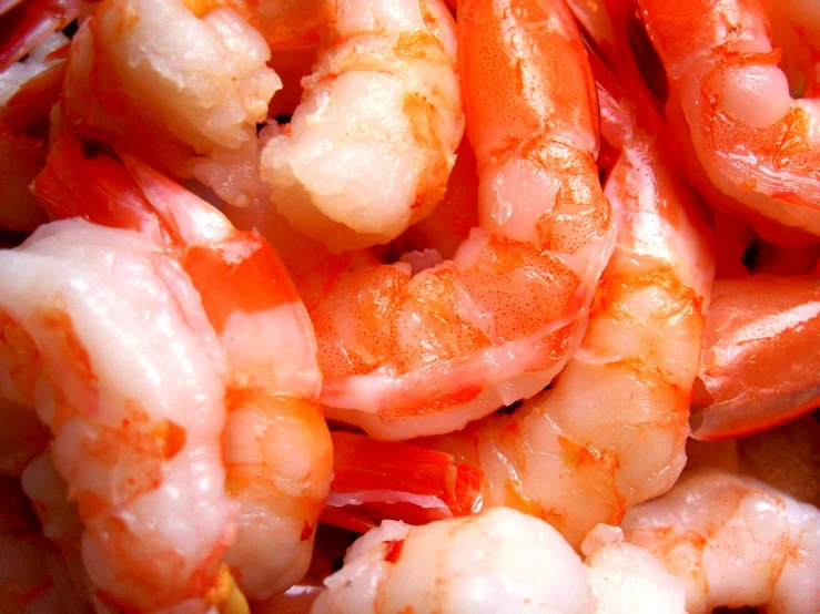 several peeled shrimp fill a plate together