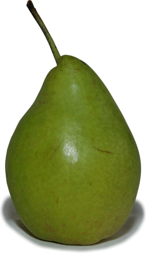 a pear sitting on the ground with a white background