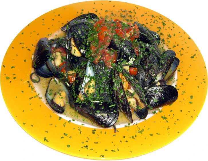 a yellow plate that has mussels with sauce on it