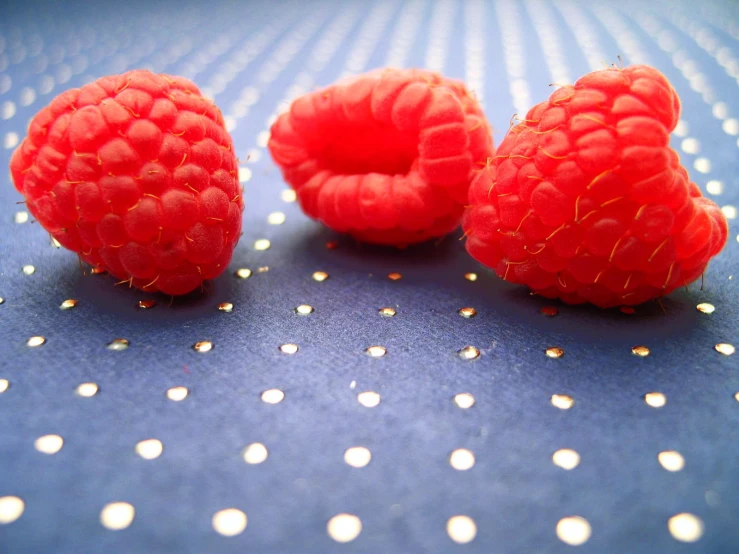 three red raspberries with tiny white dots on a blue surface