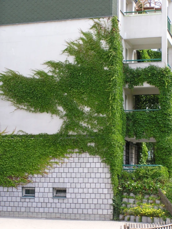 an outside area with a building with trees and plants