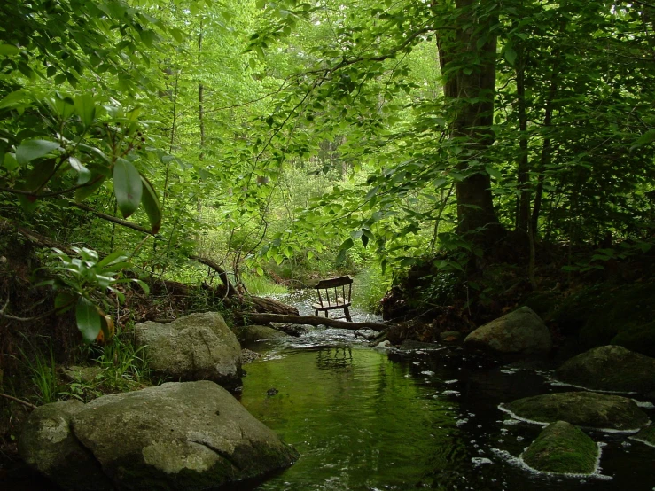 a creek surrounded by some big rocks in a forest