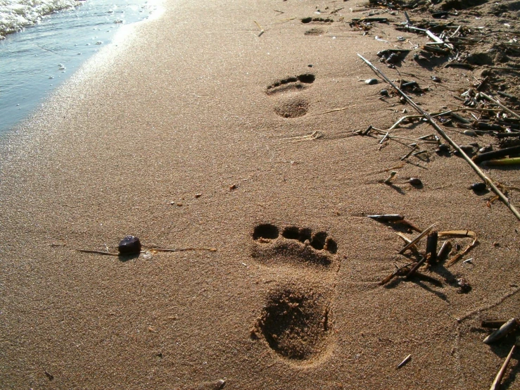 some footprints are shown in the sand on a beach