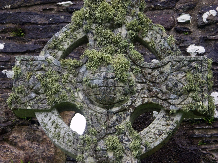 the stone is adorned with many different green plants