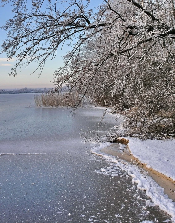 a body of water with some trees in the background