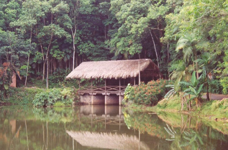 an island sitting in the middle of a jungle lake