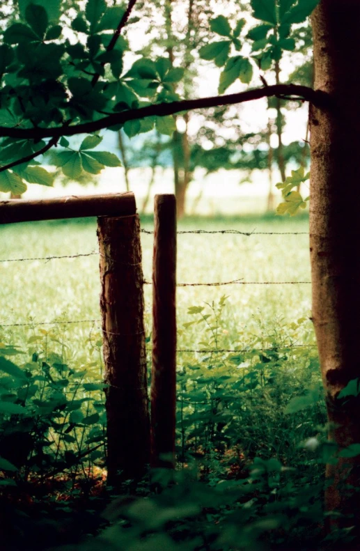 two split fences are near one another