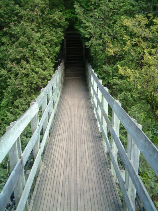 a wooden bridge in the middle of green woods