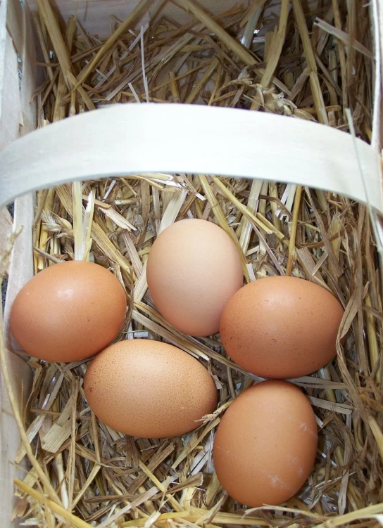 a nest full of brown eggs sitting in straw