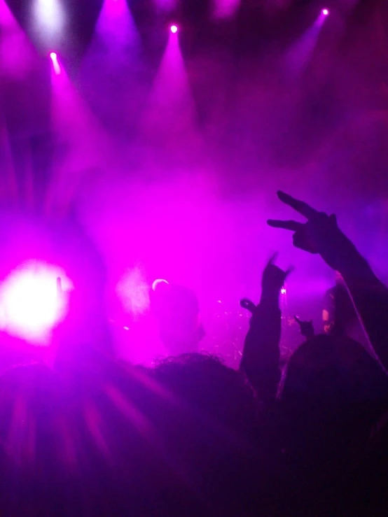 people at a concert on purple lighting, and arms raised