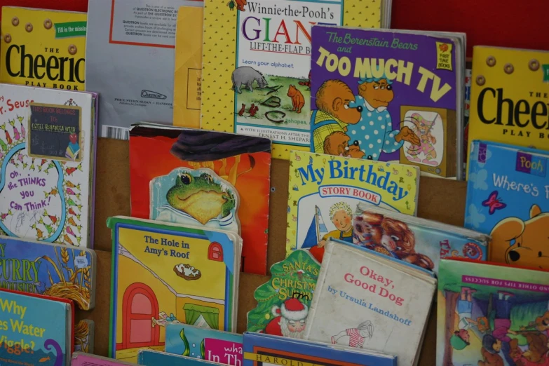 a display wall with childrens books in a child's liry