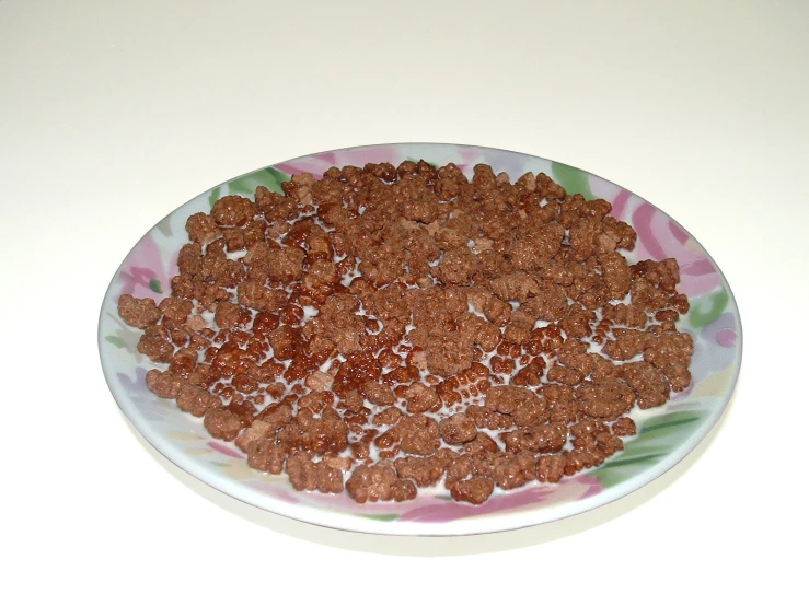 a large plate filled with cereal on top of a table