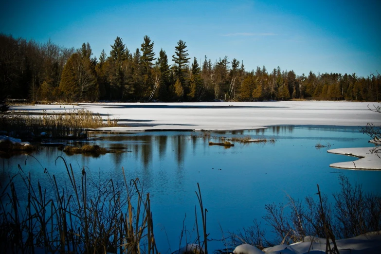 the reflection of a tree line in the water near snow