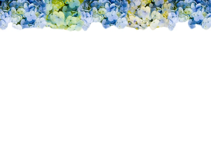 an abstract flower border made up of many blue flowers