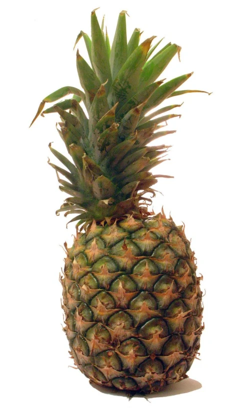 a pineapple in a cut down position