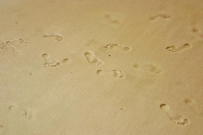 a beach with several footprints on the sand