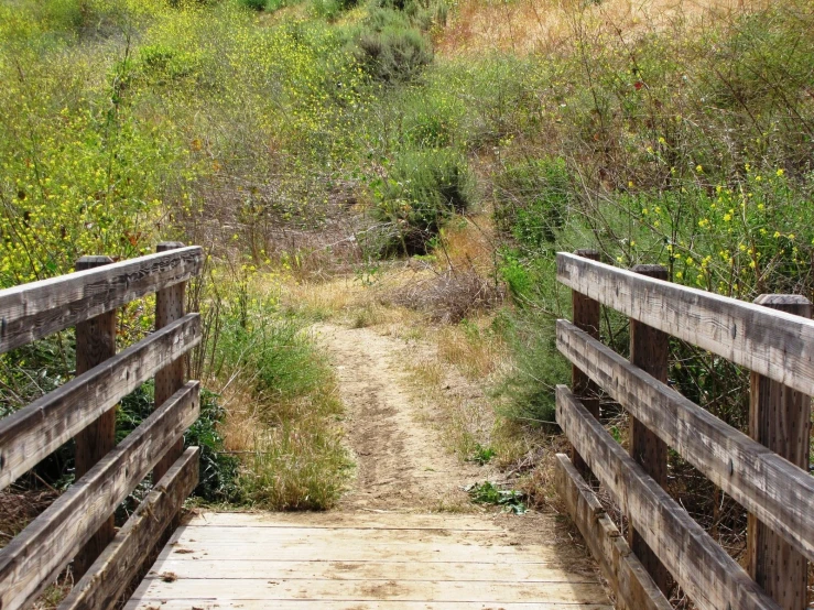 a pathway that goes through the woods with a gate