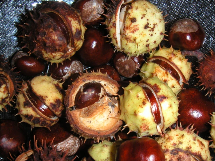 close up of many fruit pieces in the basket