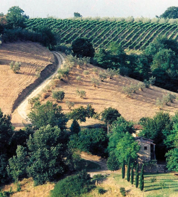 an old farm house nestled in a landscaped region