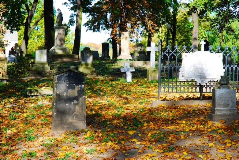 a cemetery with leaves on the ground in autumn