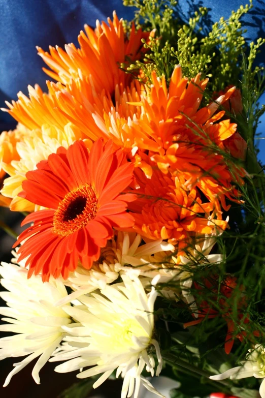 a closeup image of orange and white flowers