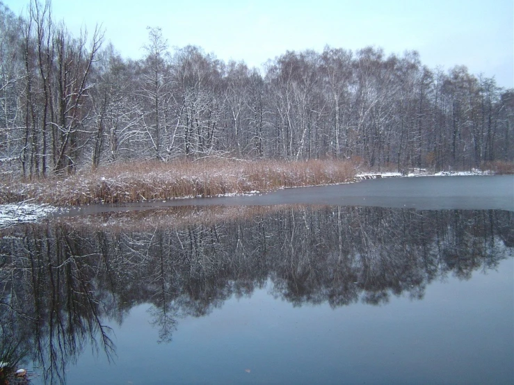 a pond surrounded by snow and trees with a reflection in it