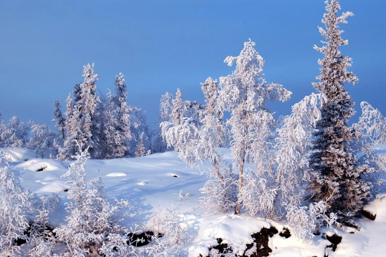 this is a mountain that has snow covered trees