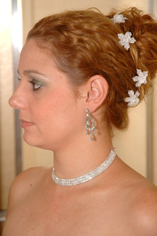 a woman in the back of her dress with a tiara, a necklace and a pair of earrings on top