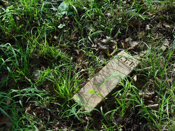 a grassy area has a brick and marker