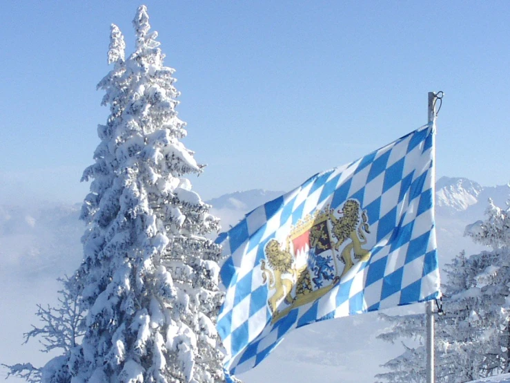 a flag flying high above trees covered in snow