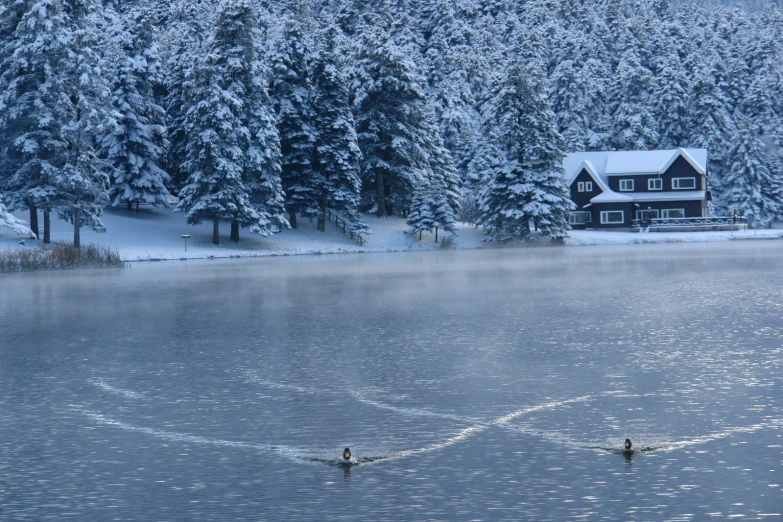 a couple of people stand on skis in the water