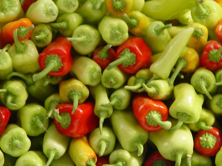 some small capstone peppers are all together