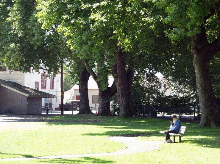 the person is sitting on the bench under trees