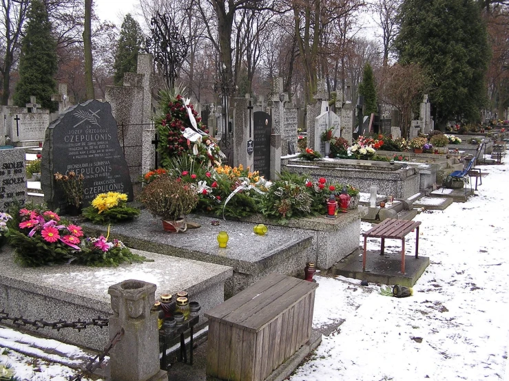a cemetery with flower pots and a few trees