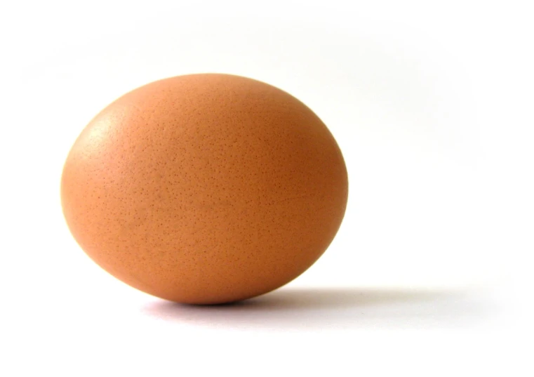 an egg in the middle of white background