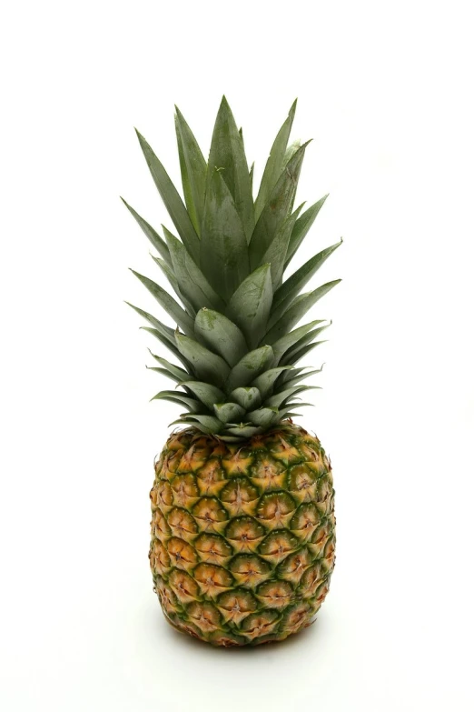 a pineapple cut in half with white background