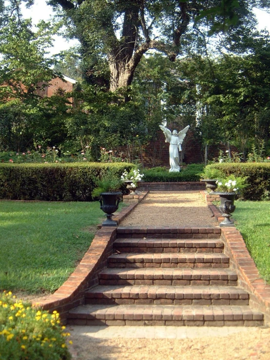 a set of stairs with potted plants next to it