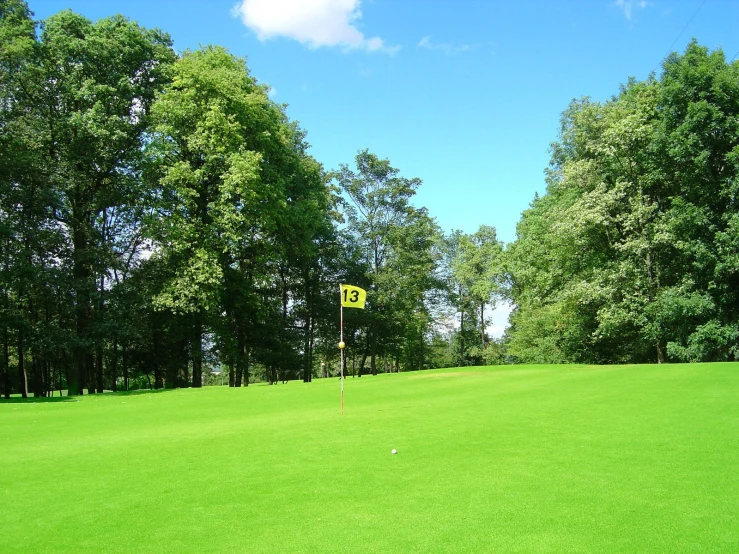 a green golf field with a yellow caution sign