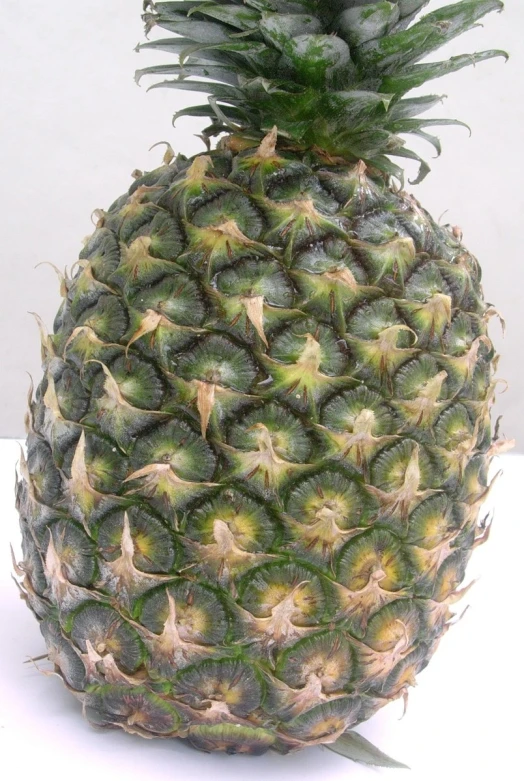 a very large pineapple has all the leaves and seeds