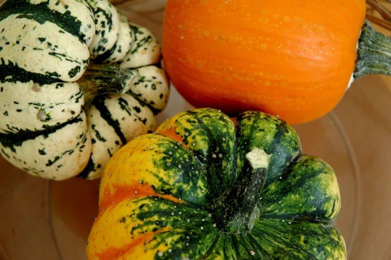three different types of gourds on top of a bowl