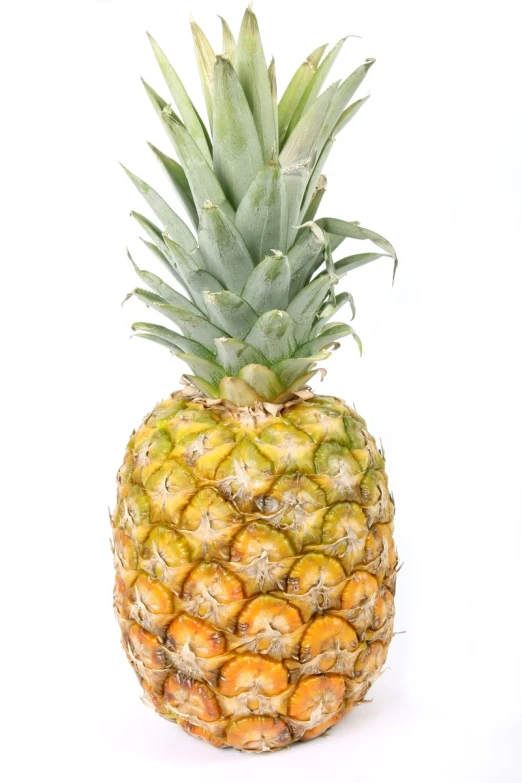 a single pineapple is on display against a white background