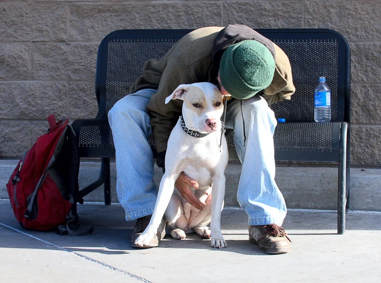 a man sits on a bench with his dog