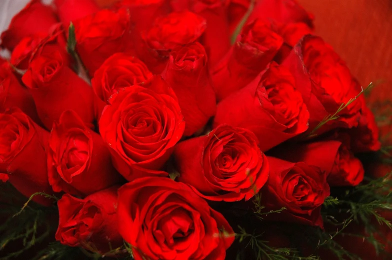 red roses are in vase on table, closeup