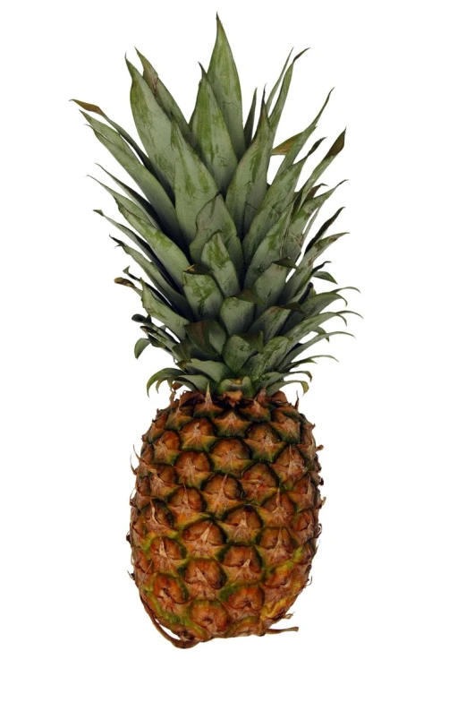 a pineapple is shown with a white background