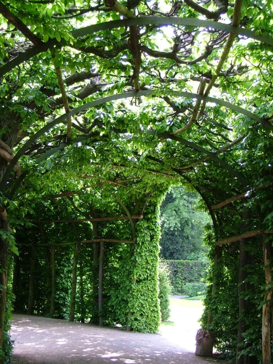 an arch covered with green bushes and trees